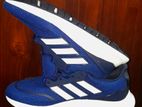 Adidas Shoe