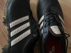 Adidas Spiked Shoes
