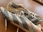 Adidas Sprintstar Spikes