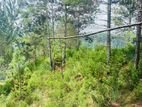 ඇල්ල නගරයට සමීපවම