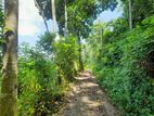 ඇල්පිටිය - කොළඹ මාර්ගයට මිටර් 150 දුරින් ඉඩමක්