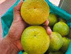 ඇඹුල් දොඩම් කිලෝ 40ක් විකිණීමට ඇත / Sour Oranges 40kg "