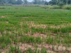 Land for Sale in Monaragala