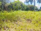 (AF003 )Beach Facing 240 Perch Land Sale At Mawella Dickwella