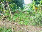 (AF026) 40 P Bare Land Sale At Temple Road Thalawathugoda