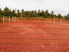 (AF035) 10 Perch Land Sale At Adiambalama Katunayake