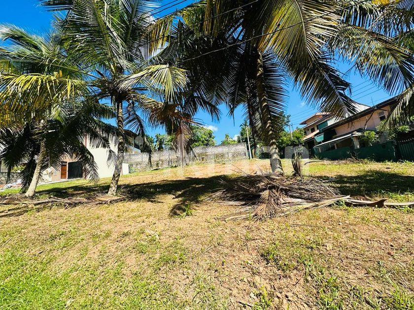(AF04) 32 P Bare Land Sale At Dickland Gardens Thalawathugoda ikman