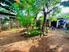 (AF134) 18 perch With old Single Story House Sale At Piliyandala