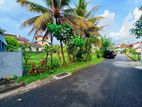 (AF172) 10 P Super Bare Land Sale At Pelawatha