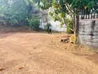 (AF216) 🔻15 P Land With Property Sale At Colombo 06