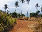 (AF219) 100P Beach Facing Land Sale At Hiriketiya Dickwella