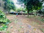 (AF246) 19 P Land For Sale In Kottawa
