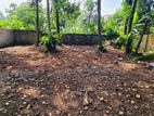 (AF281) 08 P Land Sale At Temple Road Maharagama