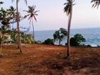 (AF328) 100 P Beach Facing Land Sale At Hiriketiya Dickwella