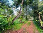 (AF332) 30 P residential bare land for sale in maharagama