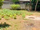 (AF342) 10p Bare Land Sale At Thalawathugoda