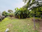 (AF402) 52 P ( 26 + ) Bare Land Sale At Colombo 05
