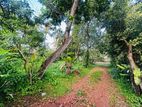 (AF448) 30 perches residential bare land for sale in maharagama