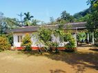 (AF449) Highly Commercial Estate in Eheliyagoda for Sale!