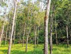 (AF455) 9 ACRE +10 ( 19 Acres ) FOR SALE at NEBODA-MATUGAMA