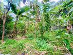 (AF459) 20 P Bare Land Sale At Uthuwankanda Road Thalawathugoda