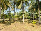 (AF561) 58 P LAND AT 200 M Galle Road Wadduwa Kaluthara