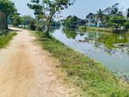 (AF624) 12 perches residential bare land for sale in maharagama