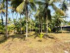 (AF631) 58 P LAND AT 200 M Galle Road Wadduwa Kaluthara