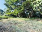 (AF695) 13.7 P Residential Land at Malabe