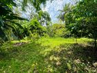 (AF722) 20 P Bare Land Sale At Werasekera Road Thalawathugoda