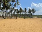 (AF727) Beach Facing 02 Acre LAND SALE AT Wadduwa Kaluthara