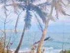 (AF764) Beach Facing 27 P Land Sale At Nilwella Dickwella Mathara