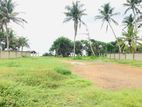 (AF767) Beach Facing 58 P Land Sale at Galle Road Bentota