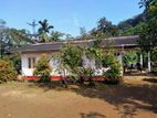 (AF772) 28 Acres Highly Estate Land with House in Eheliyagoda for Sale!