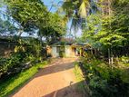 (AF787) 20 P Land With Single Story House Sale At Thalawathugoda