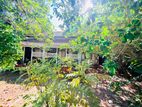 (AF801) 18.45 P Land Sale At Temple Road Kalubowila DEHIWALA.
