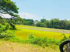 (AF818) Facing Talangama Lake 20 P Land Road Pelawatha Battramulla