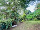 (AF831) 20 P Bare Land Sale At Werasekera Road Thalawathugoda