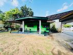 (AF850) 25.5 perch Singl Story House Sale At Piliyandala