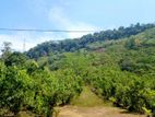 (AF860) 28 Acres Highly Commercial Estate in Eheliyagoda for Sale!