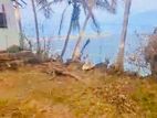 (AFA115) Beach Facing 27 P Land Sale At Nilwella Dickwella Matara
