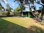 (AFA117) 25.5 Perch Single Storey House Sale Piliyandala
