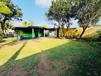 (AFA118) 25.5 perch Singl Story House Sale At Piliyandala