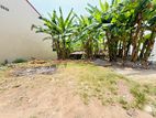 (AFA128) 06 P LAND SALE AT 4th Lane Galpotha Road Nawala