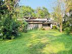 (AFA145) 38.9 P Land Sale At Dehiwala