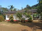 (AFA146) 28-Acre Cinnamon Estate for Sale in Eheliyagoda