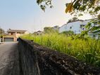 (AFA154) 6.5 P Land Sale At Battramulla