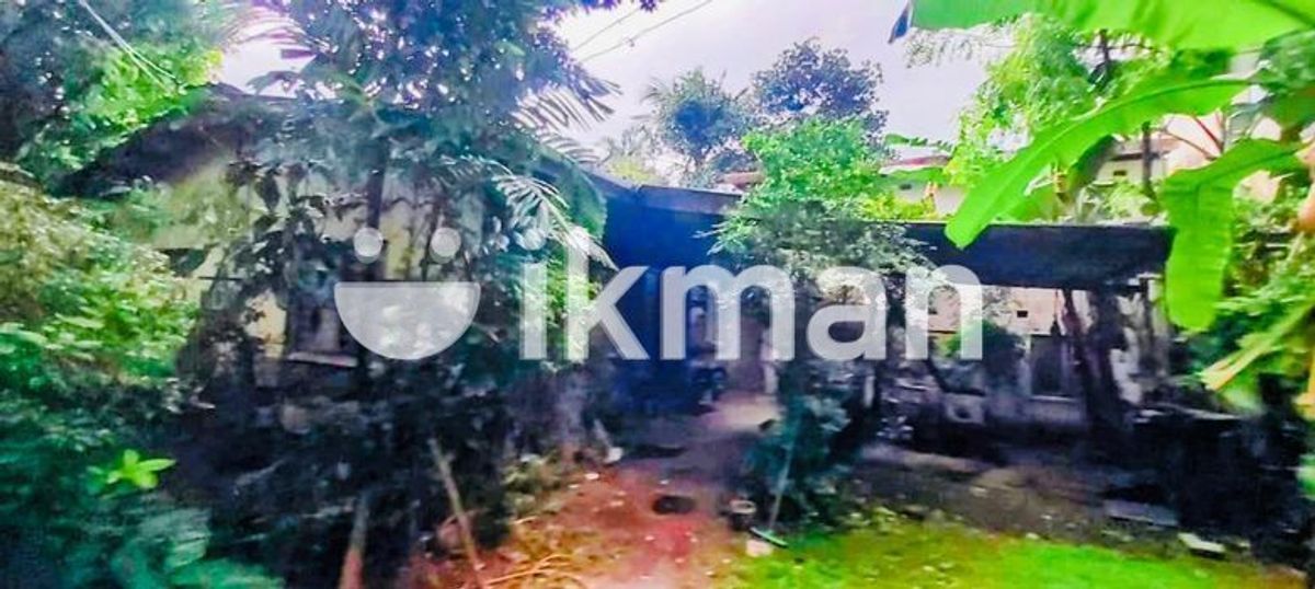 (AFA16) 15 P Land with Old House Sale at Jambugasmulla Road Nugegoda