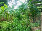 (AFA164) 40 P Bare Land Sale At Temple Road Thalawathugoda