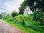 (AFA164) 40 P Bare Land Sale At Temple Road Thalawathugoda